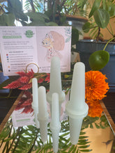 Load image into Gallery viewer, Facial Cups