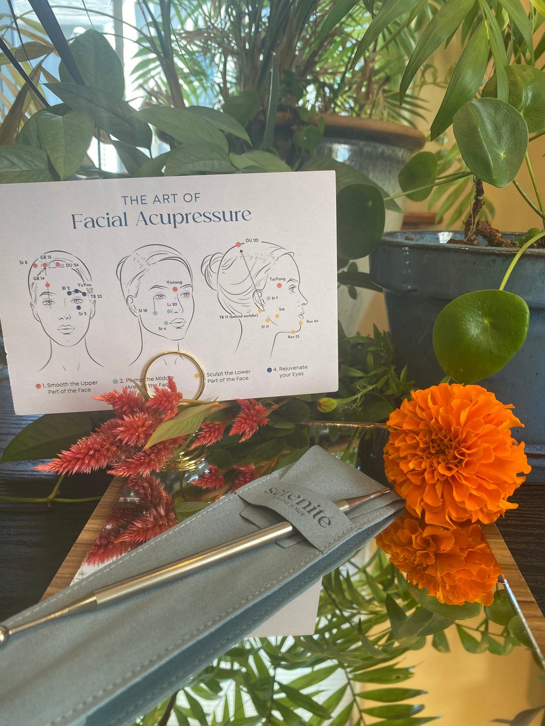 Acupressure Pen