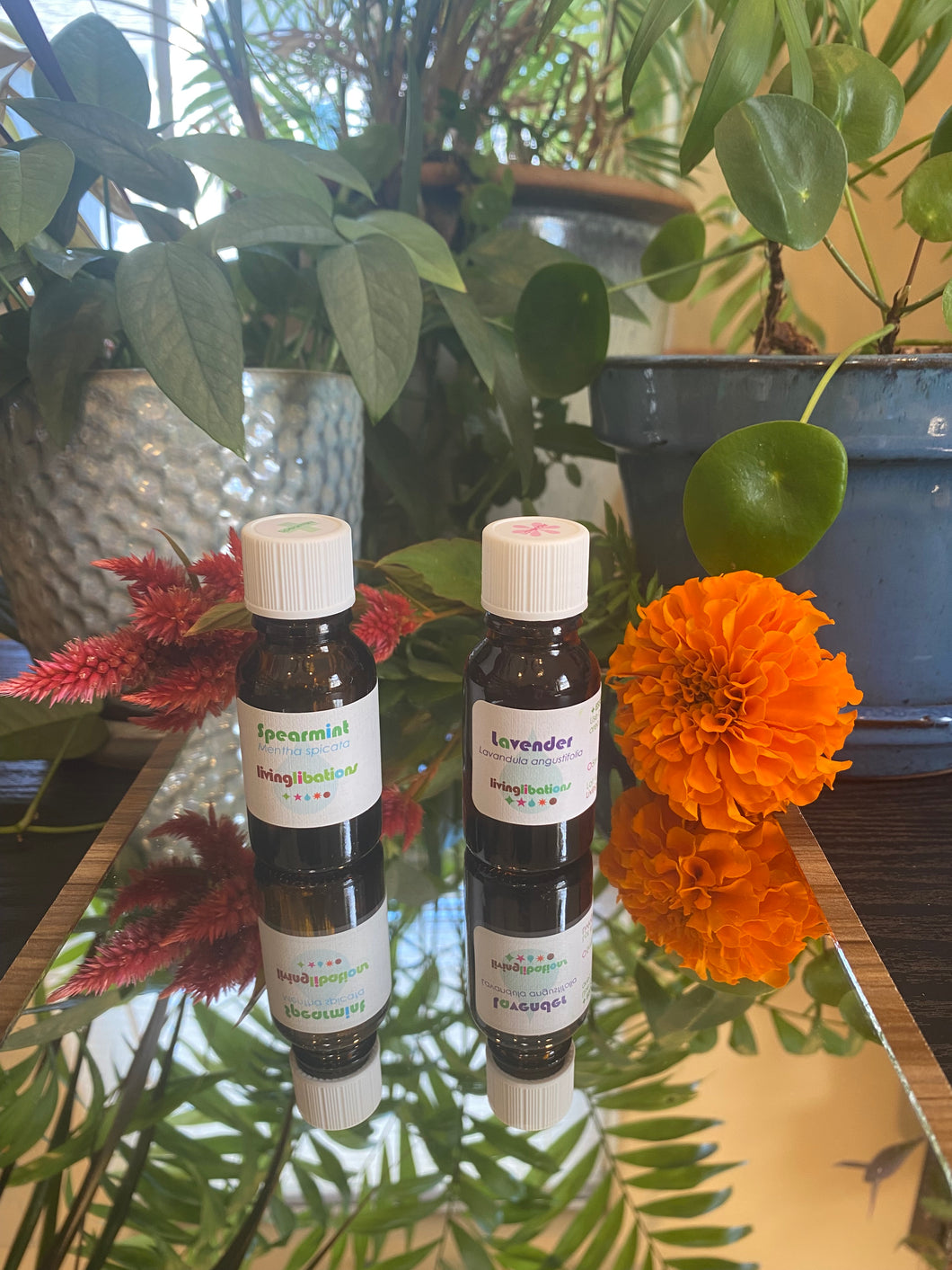 Spearmint Essential Oil
